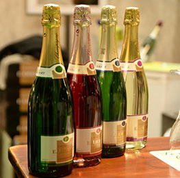 visuel Salon des vins de Mâcon
