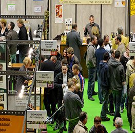 visuel Salon des vins de Mâcon